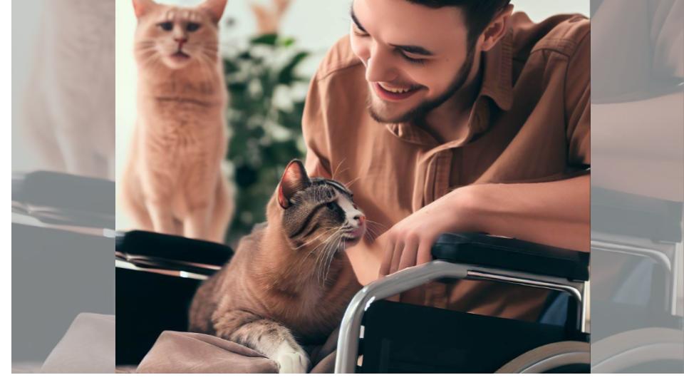 Animal Assisted Therapist helping a client